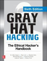 Gray_Hat_Hacking_The_Ethical_Hacker’s_Handbook,_6th_Edition (1).epub